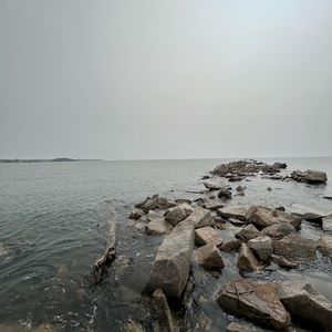 Meet your Posher, Kiley